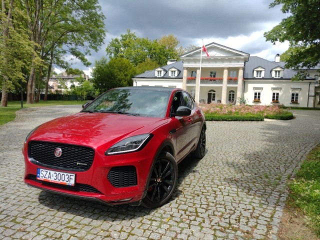 jaguar