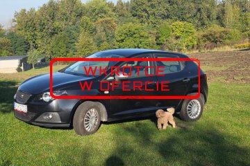 mega oszczędne auto 4l./100km.