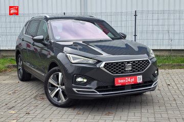 Piękny bezwypadkowy tarran